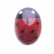 CHARM COCCINELLA IN CORALLO ROSSO