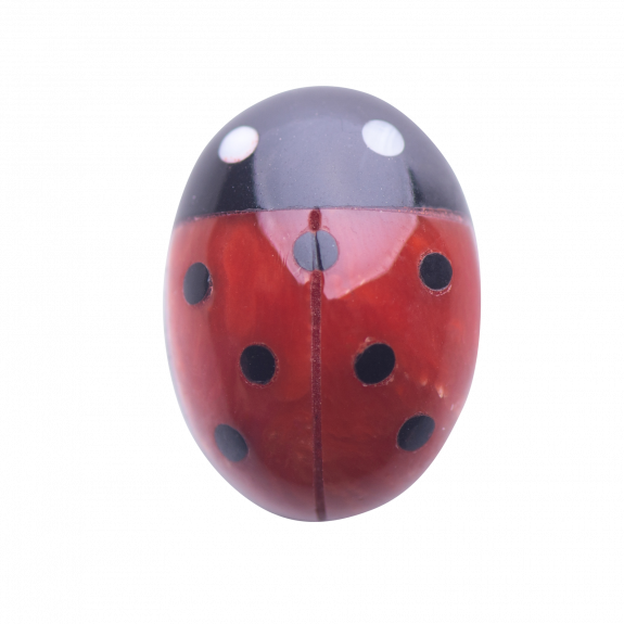 CHARM COCCINELLA IN CORALLO ROSSO