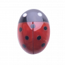CHARM COCCINELLA IN CORALLO ROSSO