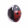 CHARM COCCINELLA IN CORALLO ROSSO