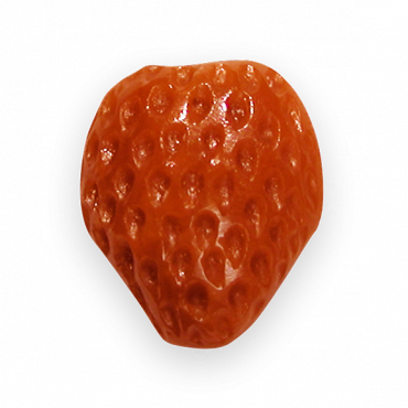 SPILLA FRAGOLA IN CORALLO ROSSO SPILLA FRAGOLA IN CORALLO ROSSO