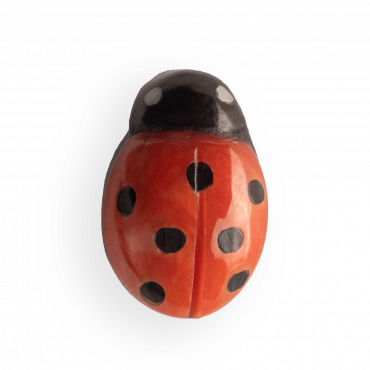 SPILLA COCCINELLA IN CORALLO ROSSO SPILLA COCCINELLA IN CORALLO ROSSO