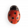 SPILLA COCCINELLA IN CORALLO ROSSO